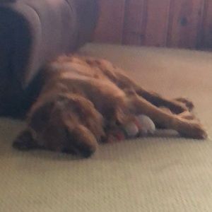 Meet your Posher, Stacy